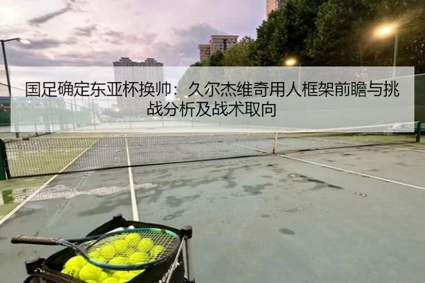 国足确定东亚杯换帅：久尔杰维奇用人框架前瞻与挑战分析及战术取向