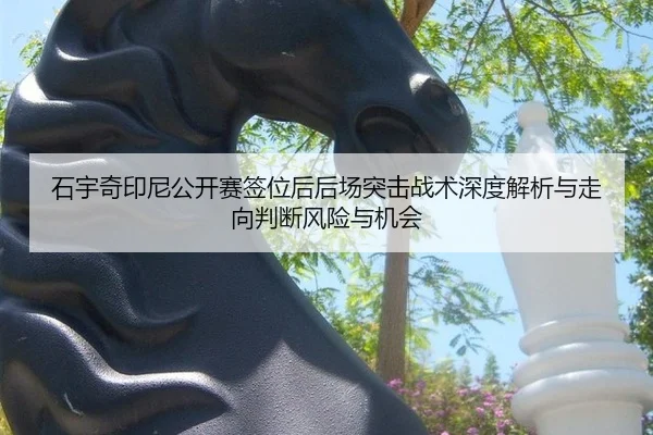 石宇奇印尼公开赛签位后后场突击战术深度解析与走向判断风险与机会